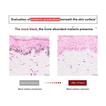 CENTELLIAN 24 Madeca Cream Time Reverse (1.69fl oz) - Advanced Fast-Absorbing & Nourishing, Hydrates, Firms & Reduces Wrinkles, Low Irritation, Korean Skin Care Centella Asiatica, Collagen